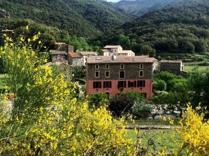 Auberge Cevenole Valleraugue Bagian luar foto
